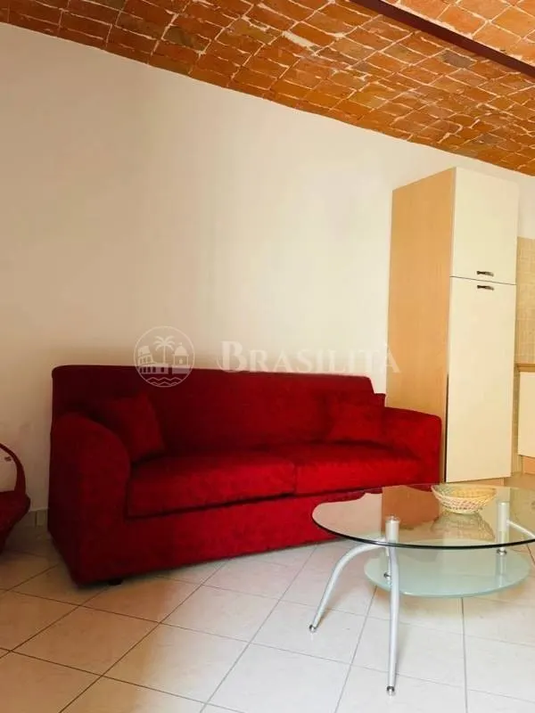 Apartamento de 55 m² com teto em tijolo aparente em Alfiano Natta - Foto 1